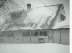 Levittown vue arrière 