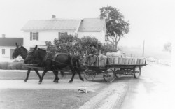 Les Amish ne sont pas loin de Levittown