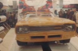 Le Roadrunner ou BipBip
